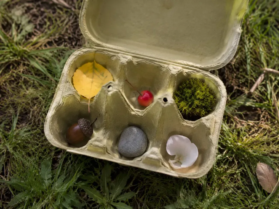 Natural treasures collected for a colour hunt